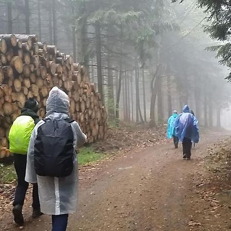Urlaubsdomizil Am Toepfer - Ferienwohnungen In Olbersdorf Esterno foto