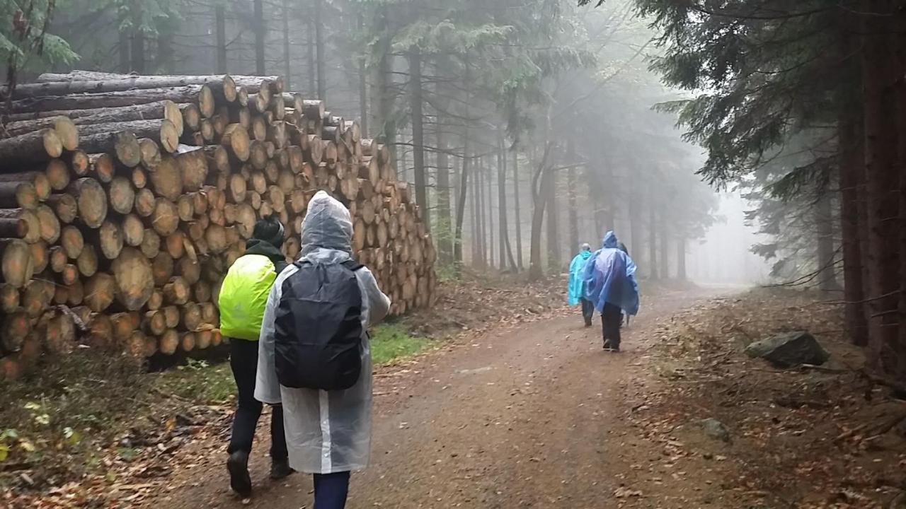 Urlaubsdomizil Am Toepfer - Ferienwohnungen In Olbersdorf Esterno foto