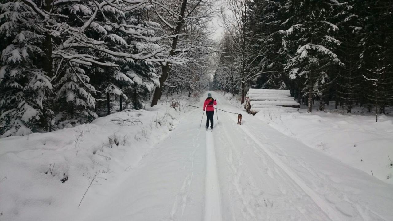 Urlaubsdomizil Am Toepfer - Ferienwohnungen In Olbersdorf Esterno foto