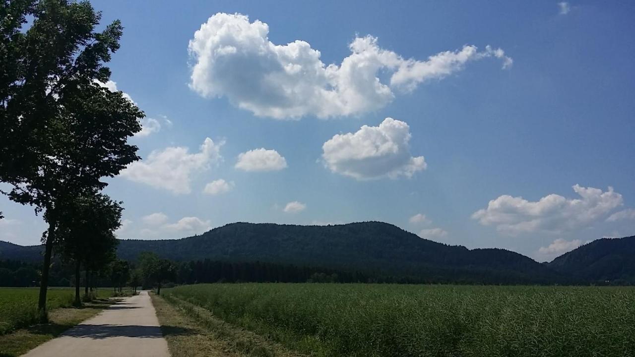 Urlaubsdomizil Am Toepfer - Ferienwohnungen In Olbersdorf Esterno foto