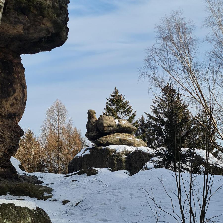 Urlaubsdomizil Am Toepfer - Ferienwohnungen In Olbersdorf Esterno foto