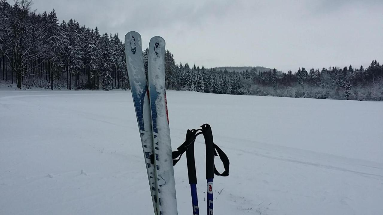 Urlaubsdomizil Am Toepfer - Ferienwohnungen In Olbersdorf Esterno foto