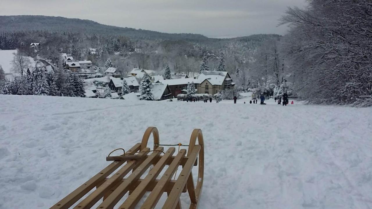 Urlaubsdomizil Am Toepfer - Ferienwohnungen In Olbersdorf Esterno foto