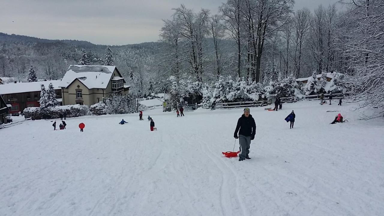 Urlaubsdomizil Am Toepfer - Ferienwohnungen In Olbersdorf Esterno foto