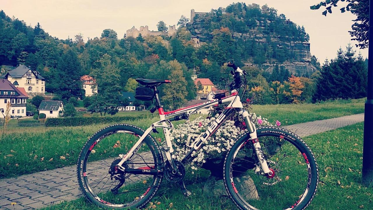 Urlaubsdomizil Am Toepfer - Ferienwohnungen In Olbersdorf Esterno foto