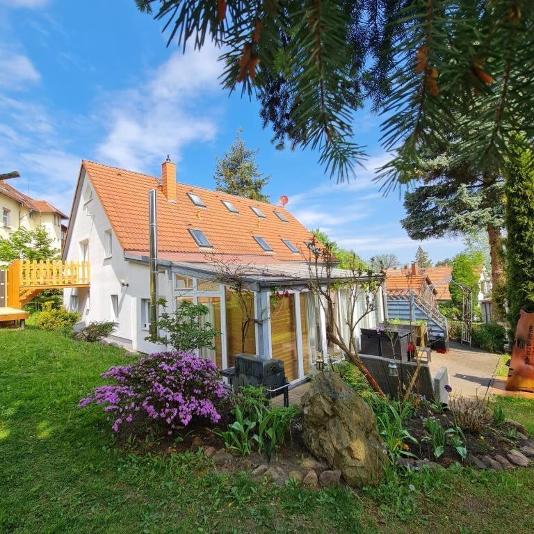 Urlaubsdomizil Am Toepfer - Ferienwohnungen In Olbersdorf Esterno foto